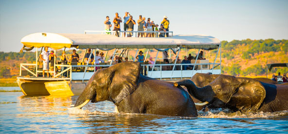 South Africa, Botswana - Chobe Picture