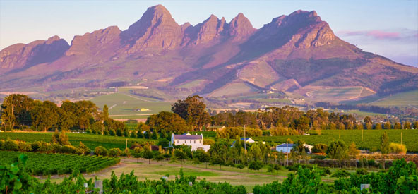 Cape Town - Stellenbosch Picture