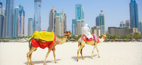 Dubai and Abu Dhabi Short Stay