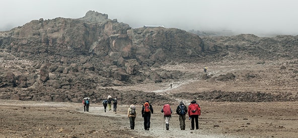 Kilimanjaro, Kenya Picture
