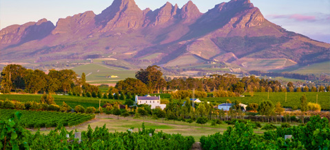 Cape Town, Luxe Safari and Wine lands Tour