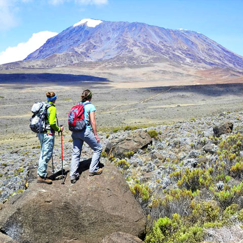 Kilimanjaro One Day Climb
