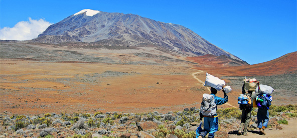 Kilimanjaro, Kenya Picture