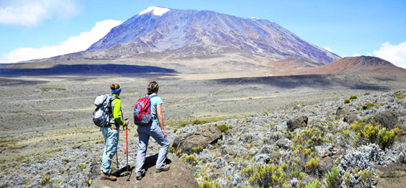 Kilimanjaro, Kenya Picture