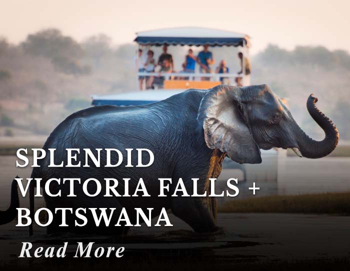 Splendid Victoria Falls + Botswana Tour