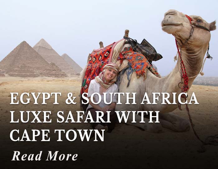 Egypt and South Africa Luxe Safari with Cape Town Tour