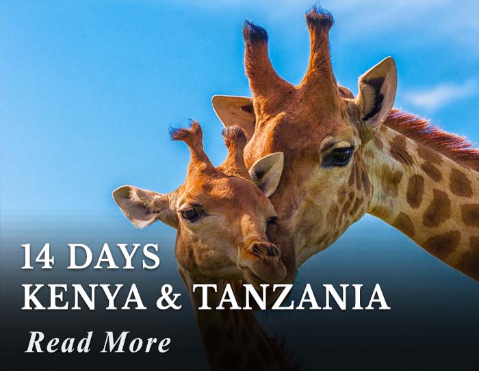 14 days Kenya and Tanzania Tour