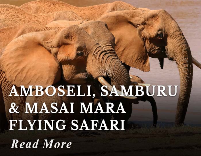 Amboseli, Samburu and Masai Mara Flying Safari Tour