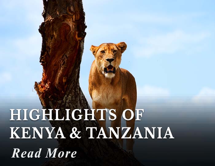 Highlights of Kenya and Tanzania Tour