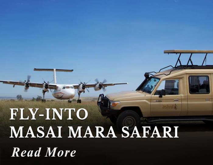 Fly-into Masai Mara Safari Tour
