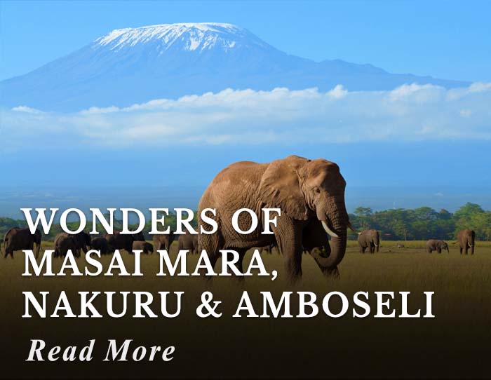 Wonders of Masai Mara, Nakuru and Amboseli Tour