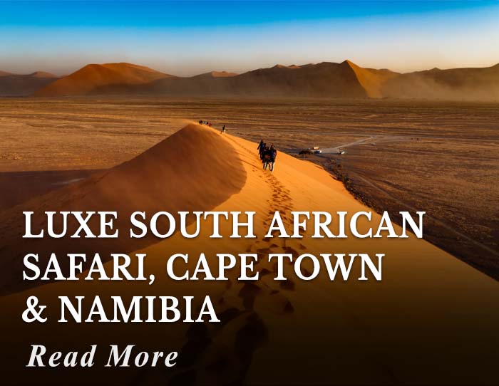 Luxe South African Safari, Cape Town and Namibia Tour