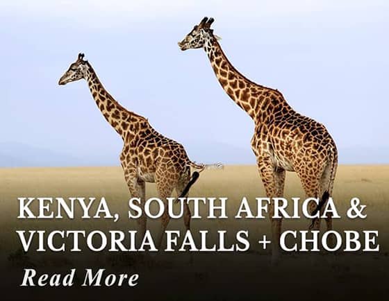 Kenya, South Africa, Victoria Falls and Chobe Tour
