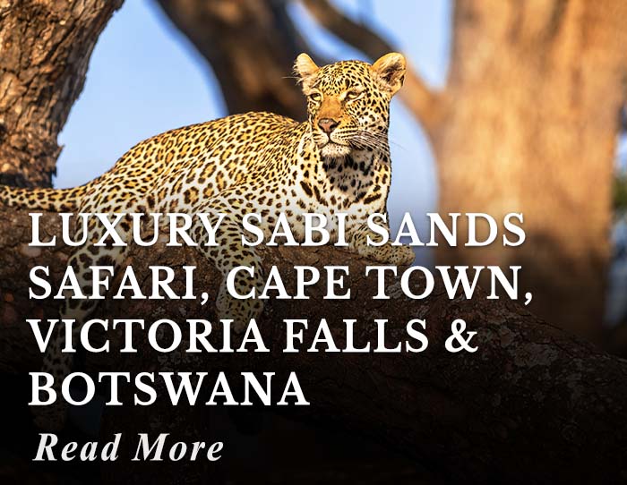 Luxury Sabi Sands Safari, Cape Town, Victoria Falls and Botswana Tour