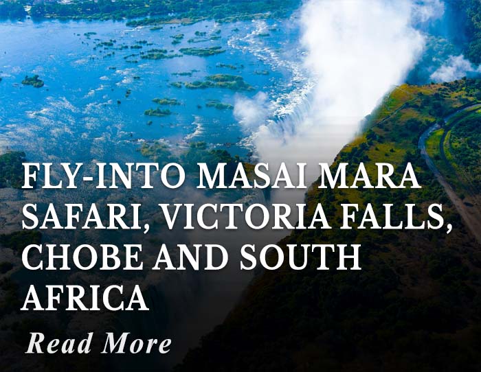 Fly-into Masai Mara Safari, Victoria Falls, Chobe and South Africa Tour