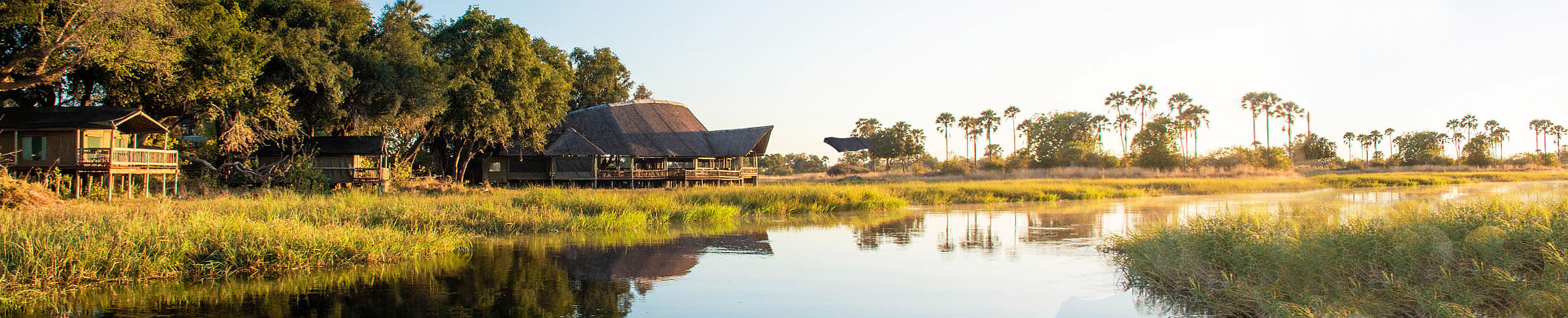 Okavango Delta Top Banner