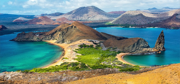 Ecuador Galapagos, Baltra Island Picture