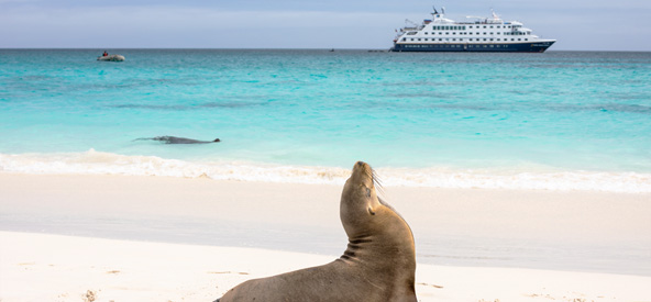 Ecuador Galapagos Island Picture