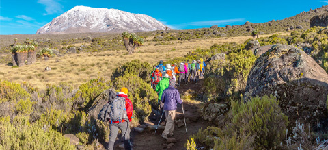 Kilimanjaro One Day Climb