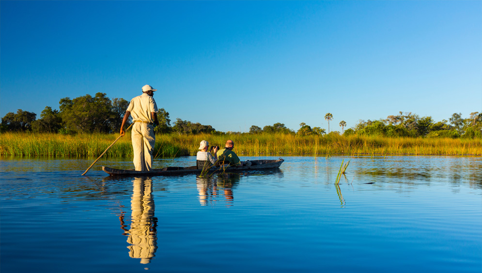 South Africa - Okavango Picture
