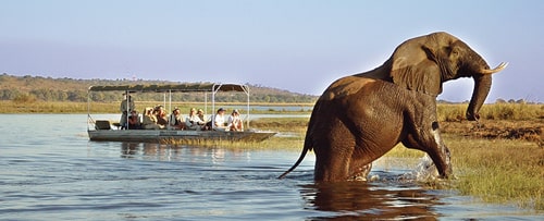 Chobe National Park