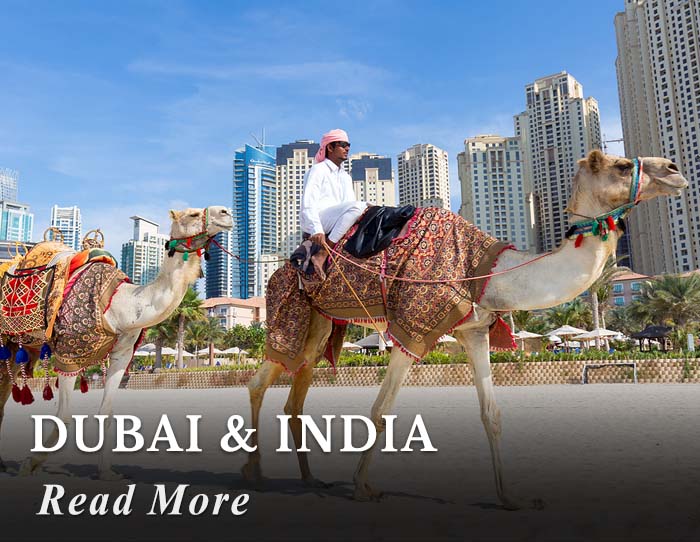 Dubai and India Tour