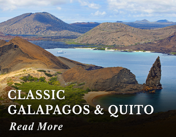 Classic Galapagos and Quito Tour