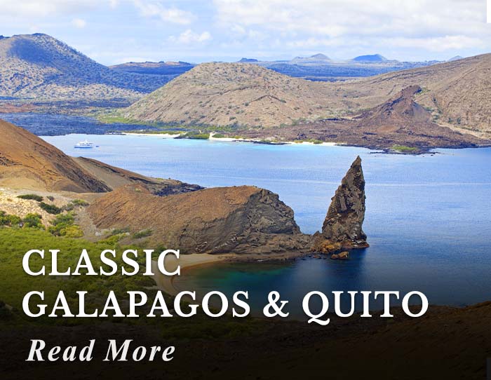 Classic Galapagos and Quito Tour