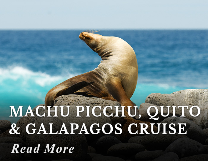 Machu Picchu, Quito and Galapagos Cruise Tour
