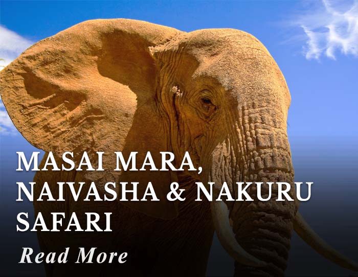 Masai Mara, Naivasha and Nakuru Safari Tour