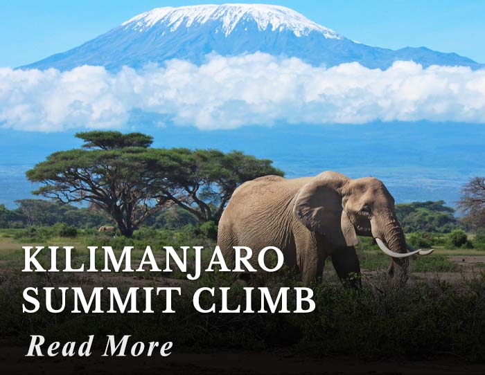 Kilimanjaro Summit Climb Tour