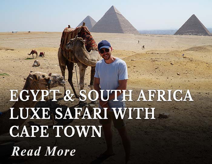Egypt and South Africa Luxe Safari with Cape Town Tour