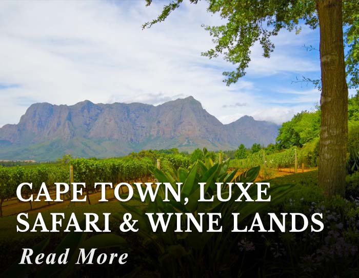 Cape Town, Luxe Safari and Wine lands Tour