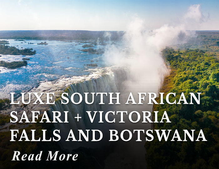 Luxe South African Safari + Victoria Falls and Botswana Tour