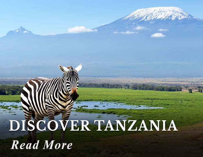 Discover Tanzania Tour